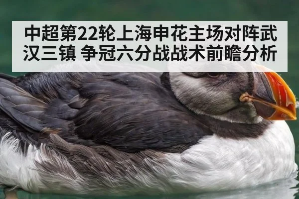 中超第22轮上海申花主场对阵武汉三镇 争冠六分战战术前瞻分析