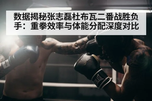 数据揭秘张志磊杜布瓦二番战胜负手:重拳效率与体能分配深度对比